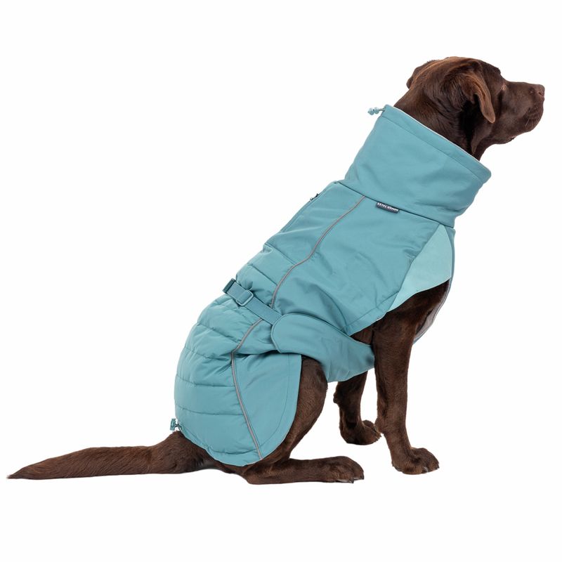 Nomad Tales Spirit Softshell Dog Coat - Pacific approx. 35cm Back Length