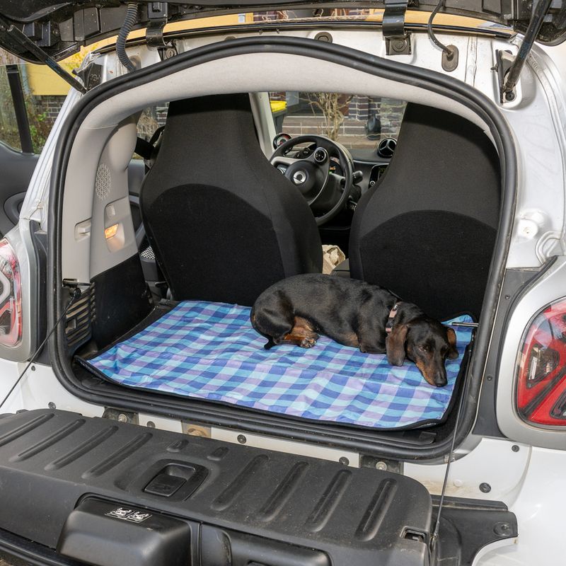 zooplus Basics Travel Mat 88 x 68 cm (L x W)