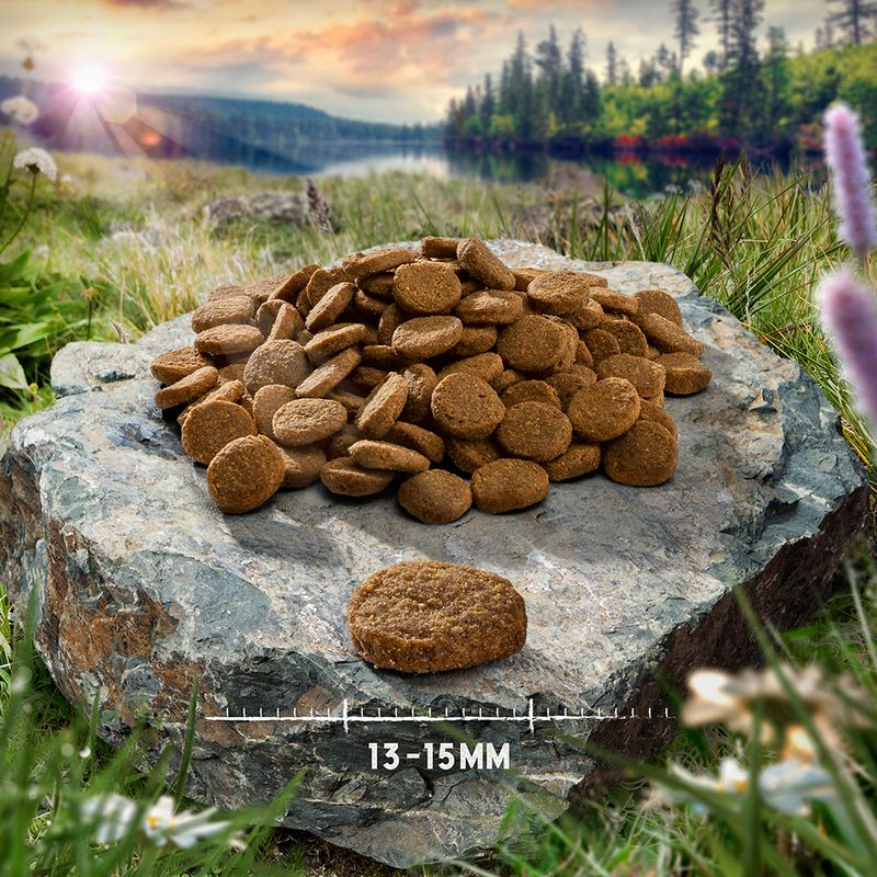 Purizon Single Meat Adult Dog - Grain-Free Chicken with Camomile Blossoms 1kg