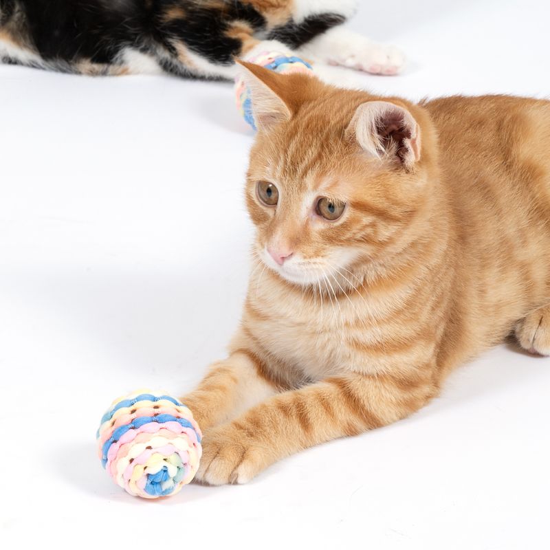 TIAKI Rainbow Rattle Ball Set Set of 2