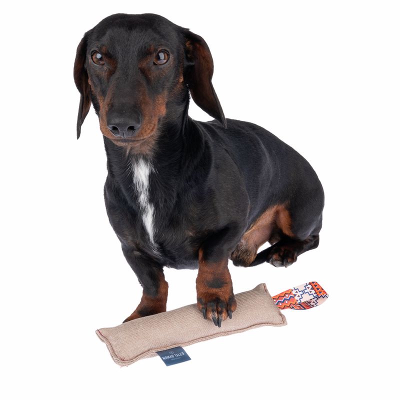 Nomad Tales Calma Chewing Stick Dog Toy approx. 21 x 6 x 3.5 cm (L x W x H)