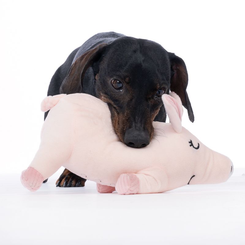 TIAKI Oink Pig Plush Squeaker Toy approx. 25.5 x 7 x 14 cm (L x W x H)