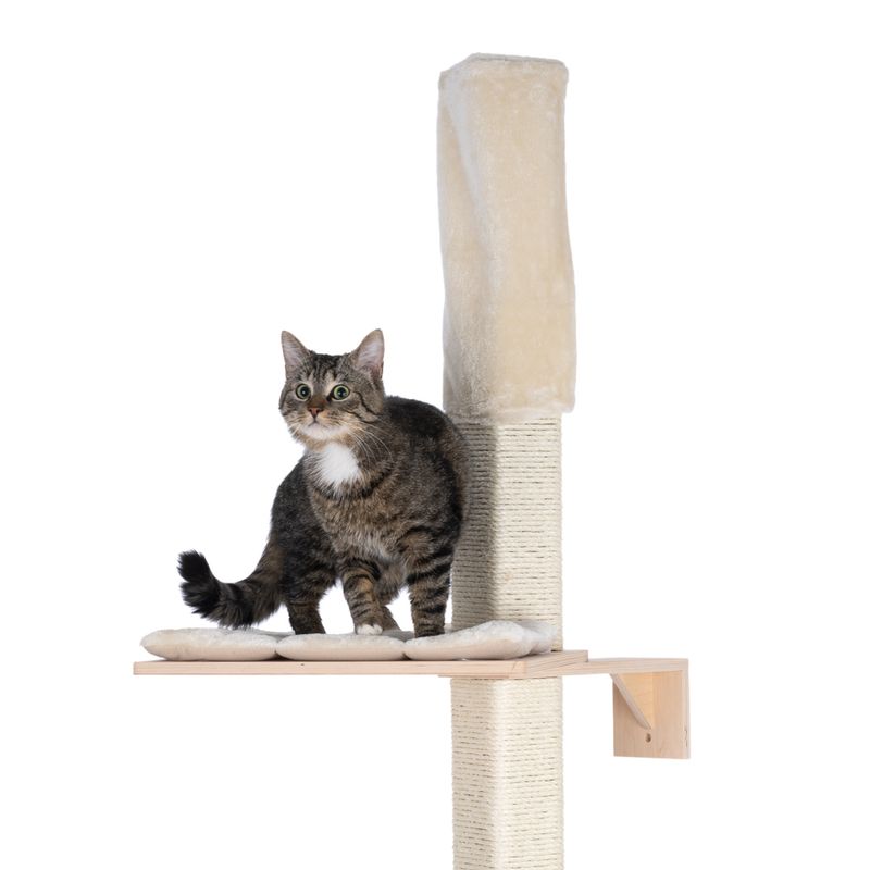 Natural Paradise Ceiling Cat Tree - Orchid Vanda Cream