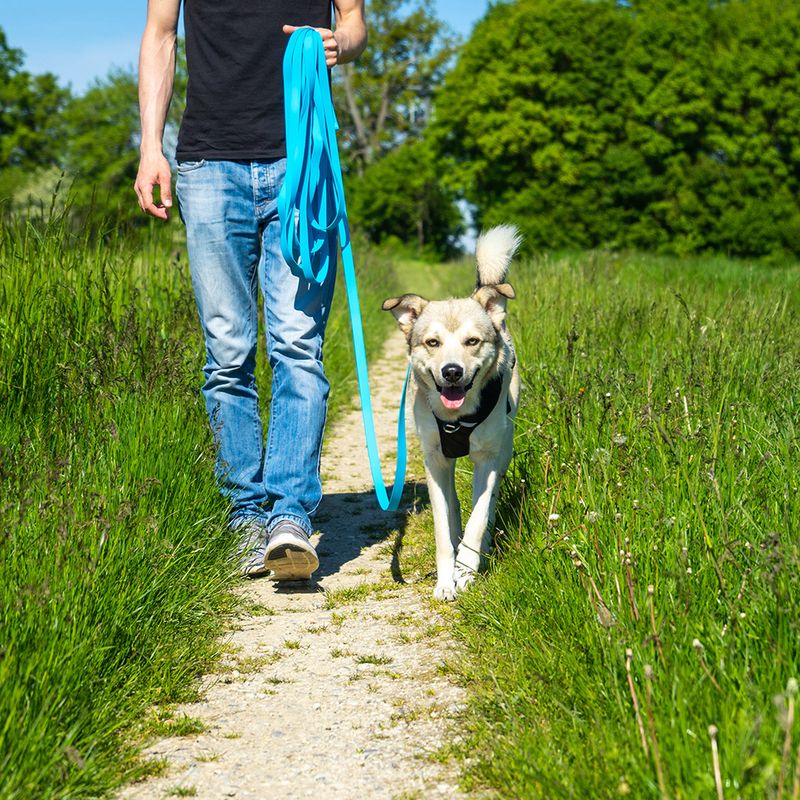 Pawz & Pepper Strong Tracking Line - Blue 5m length, 20mm width