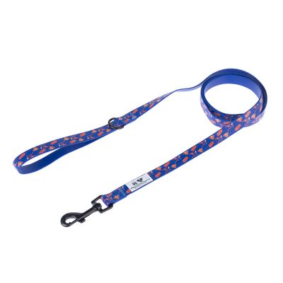 DC Superman Dog Lead 200cm Length, 20mm Width
