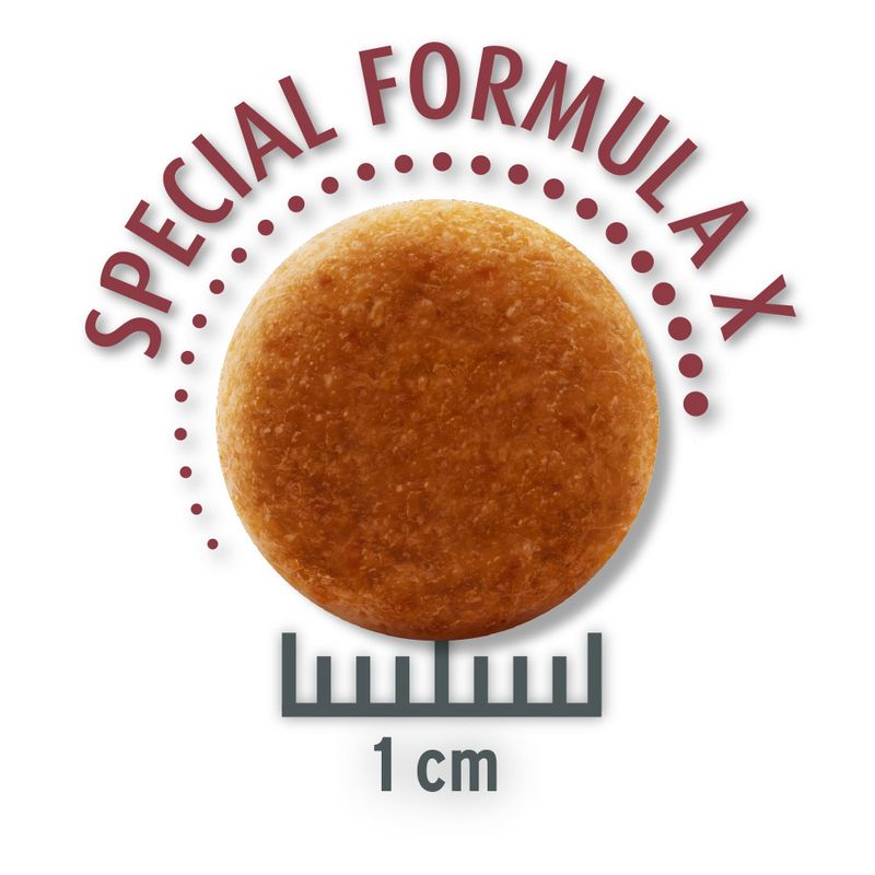 Concept for Life Economy Packs Sterilised Cats - Salmon (2 x 10 kg)