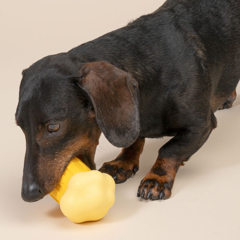 TIAKI Beer Mug Water Chew Toy 7.4 x 7.2 x 10.5 cm (L x W x H)