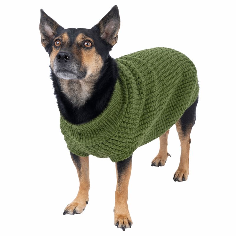 TIAKI Forest Dog Jumper approx. 40cm Back Length
