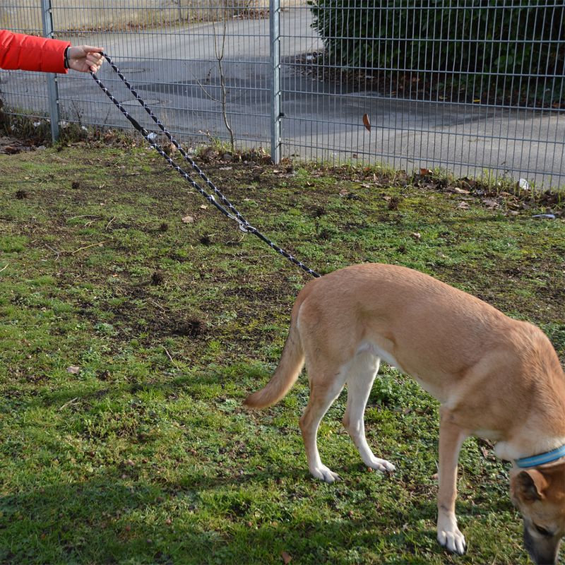 JULIUS-K9 IDC® Adjustable Rope Lead Black: 220cm Length, diameter 12mm