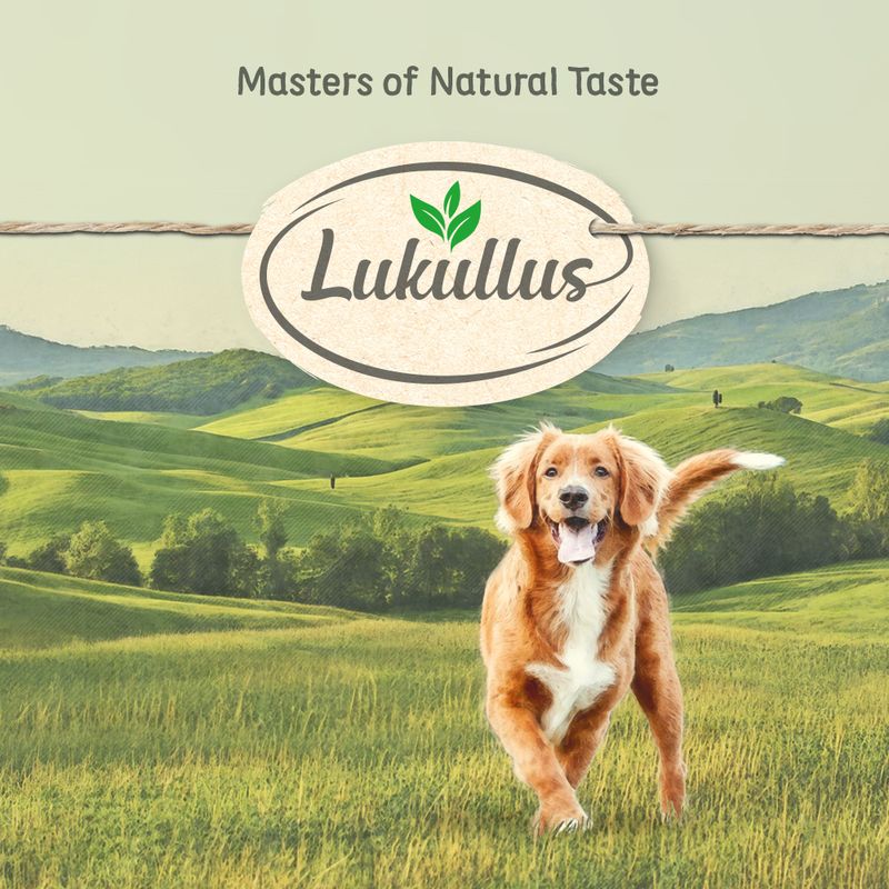 Lukullus Adult Beef & Turkey - Grain-Free 6 x 800g