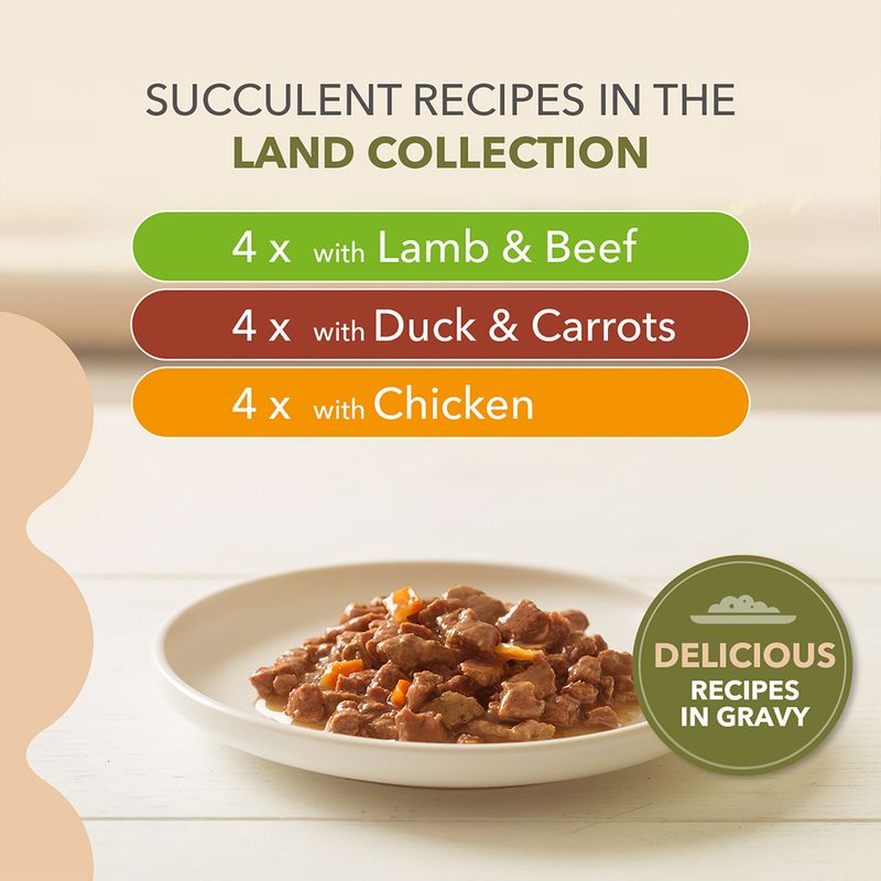 IAMS Advanced Nutrition Grain Free - Land Collection in Gravy 12 x 85g