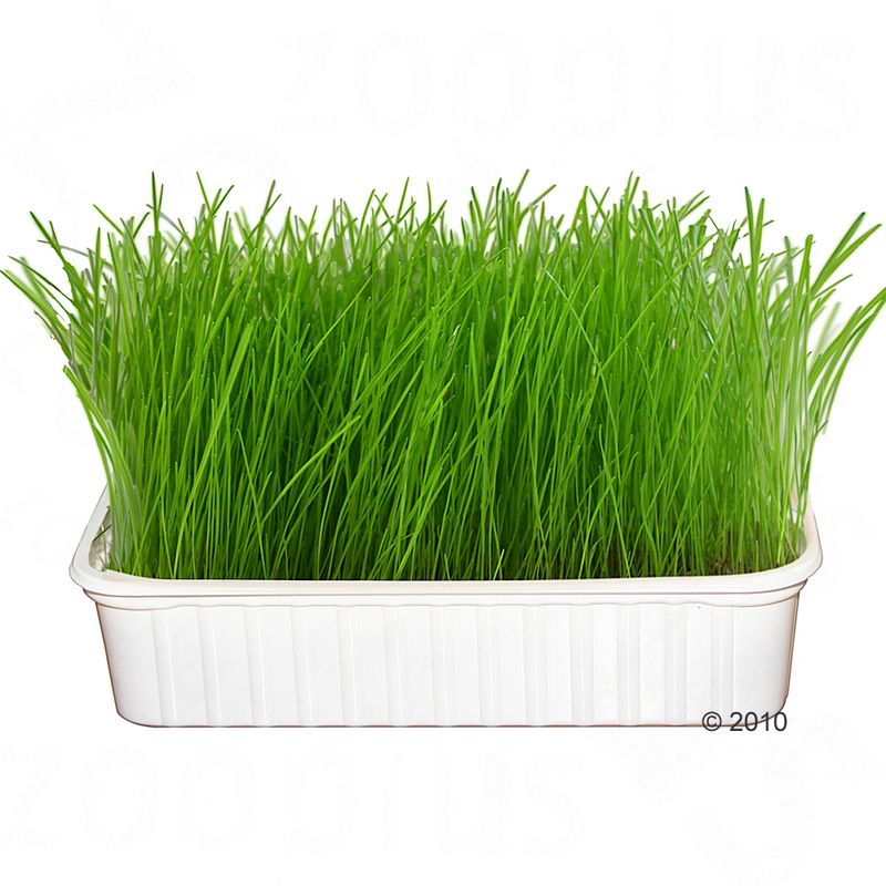 Mucki Bird Grass 2 x Bird grass dishes with brackets