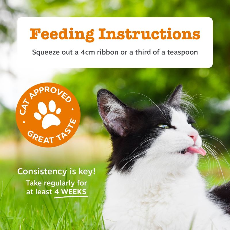 Zesty Paws Urinary & Renal Care Paste Urinary Health 75g