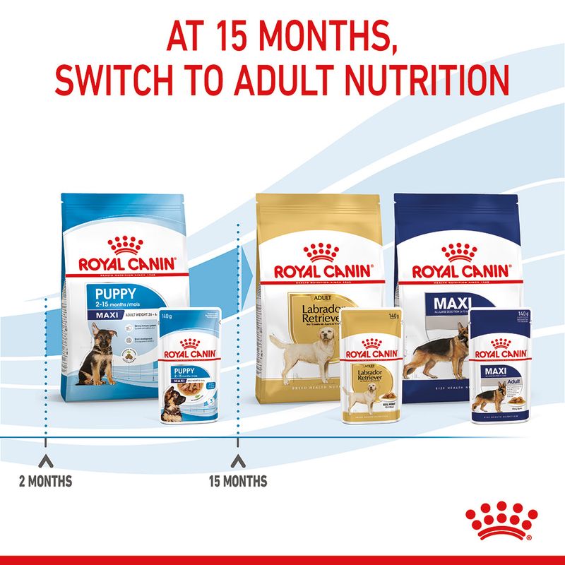Royal Canin Maxi Puppy in Gravy 10 x 140g