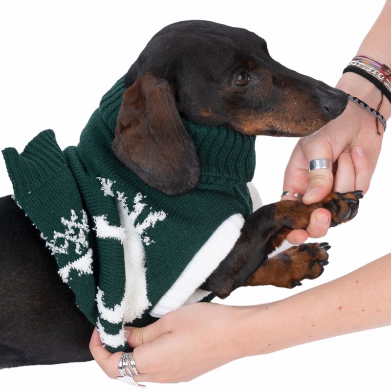 TIAKI Reindeer Dog Jumper approx. 45cm (Back Length)