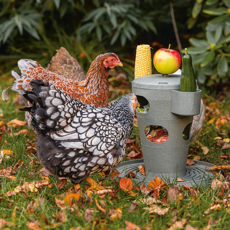 Beeztees Snack Tower for Chickens 30 x 32.5cm (diameter x H)