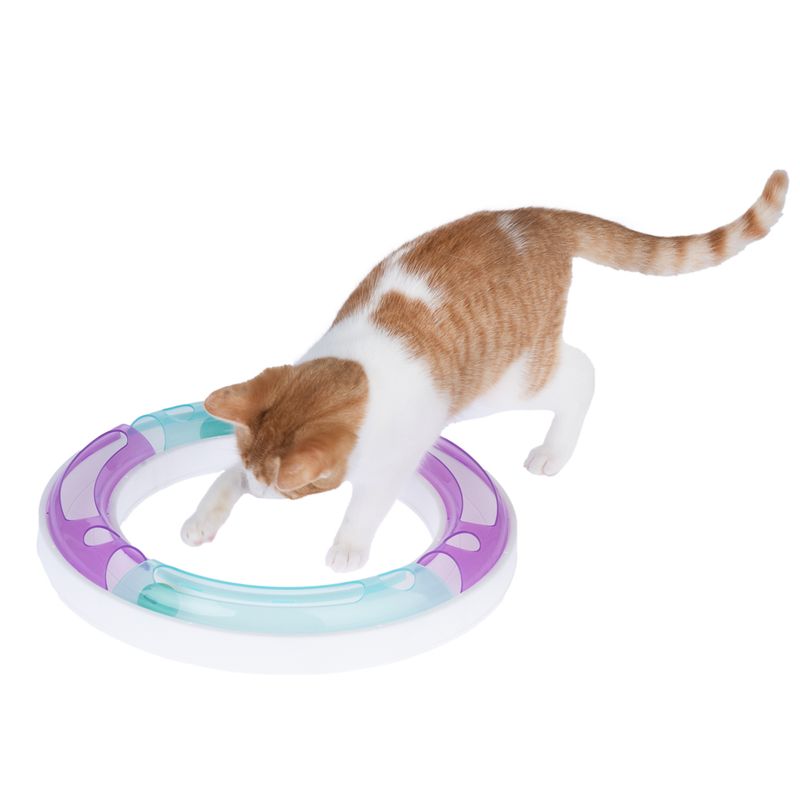 TIAKI Marble Run for Cats 1 Toy