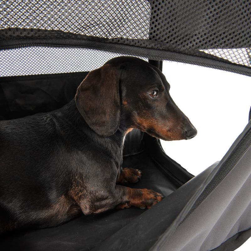 Fiona Collapsible Dog Transport Box Size S: 32 x 53 x 41cm (W x D x H)