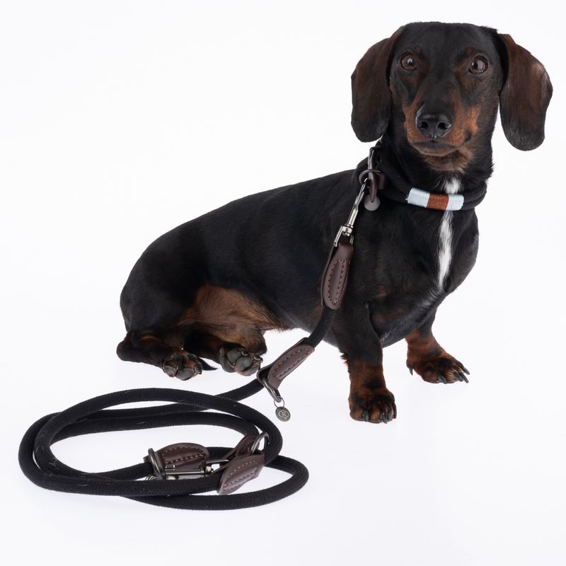 Nomad Tales Spirit Collar, ebony Size XS: 30-36 cm neck circumference