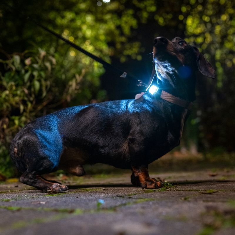 Nomad Tales Spirit USB Light Pendant Black