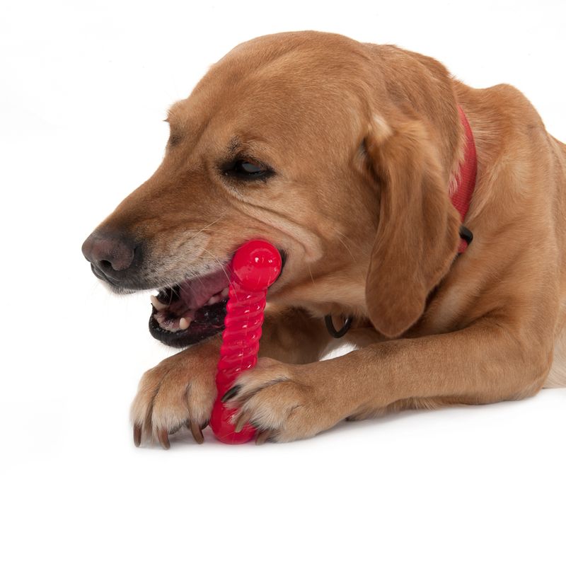 Thermoplastic Rubber Dog Toy Bone approx. 14cm