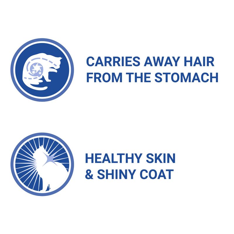 PURINA ONE Coat & Hairball with Chicken & Green Beans (26 x 85g)