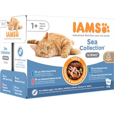 IAMS Advanced Nutrition Adult – Sea Collection Sea Collection in Jelly (12 x 85g)