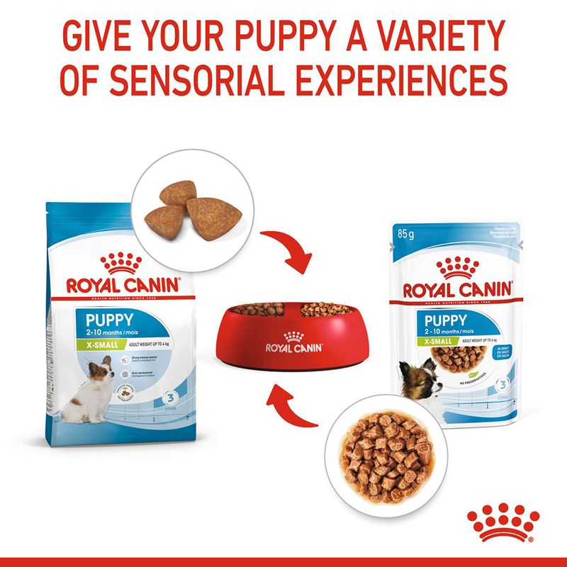 Royal Canin X-Small Puppy in Gravy 12 x 85g