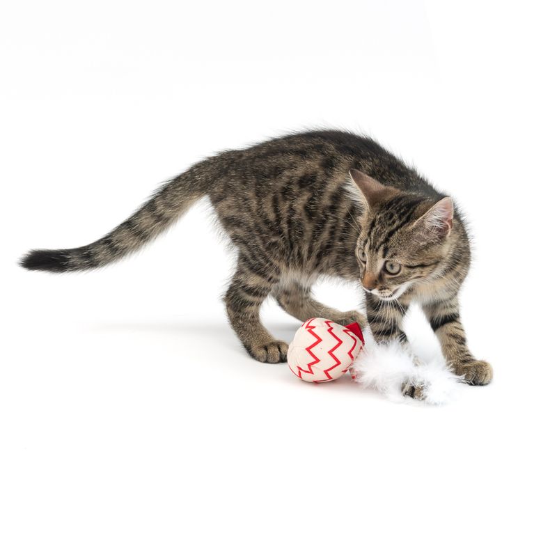 TIAKI Birthday Balloon Cat Toy 1 Balloon