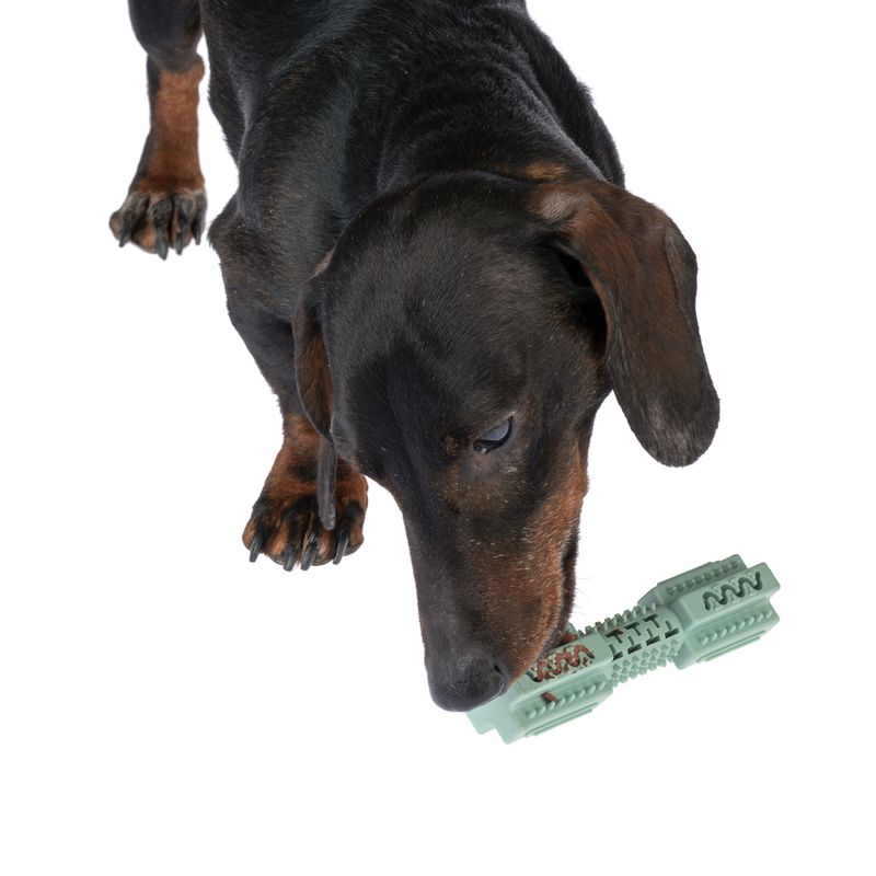 zooplus Basics TPR Stick diameter 3 x (L) 14 cm