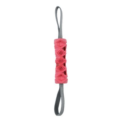 Zolux Outdoor Terra Chew Bone 1 toy