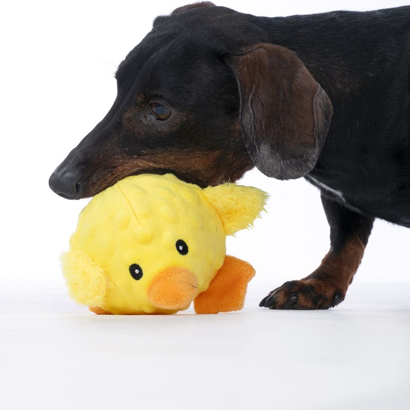 TIAKI Chicken with TPR Ball 18 x 17 x 11.5 cm (L x W x H)