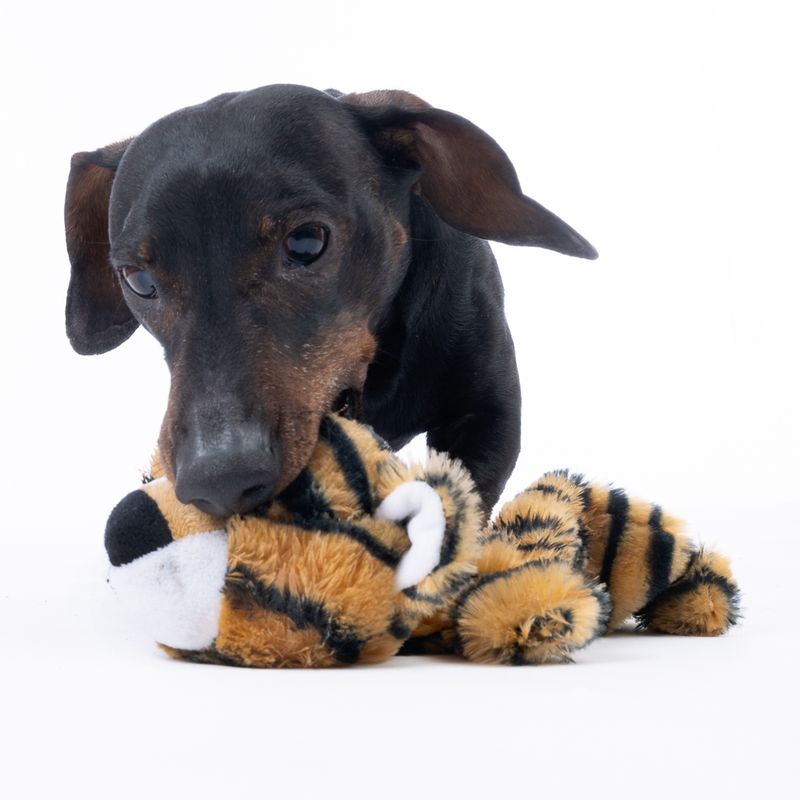 TIAKI Flat Crinkle Tiger Plush Toy 25 x 15 x 7 cm (L x W x H)