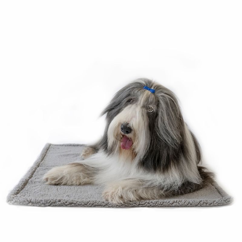 TIAKI Waterproof Dog Blanket - Grey Size S: 73 x 63 cm (L x W)