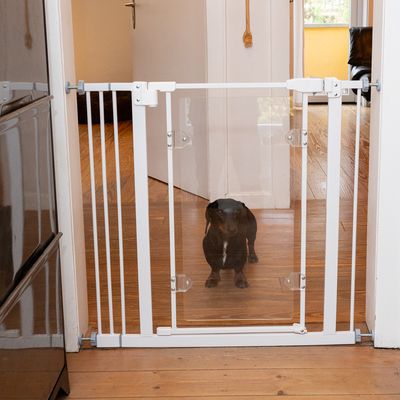 Modern Living Murano Dog Gate 78 x 74 - 86cm (H x W)