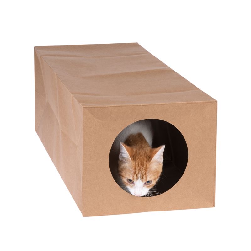 zooplus Basics Paper Cat Tunnel 65 x 27 x 22 cm (L x W x H)
