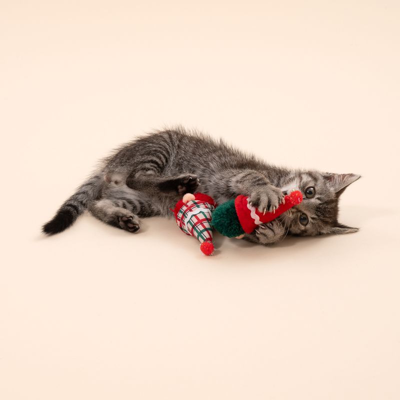 TIAKI Festive Gonk Cat Toy Set Set of 2