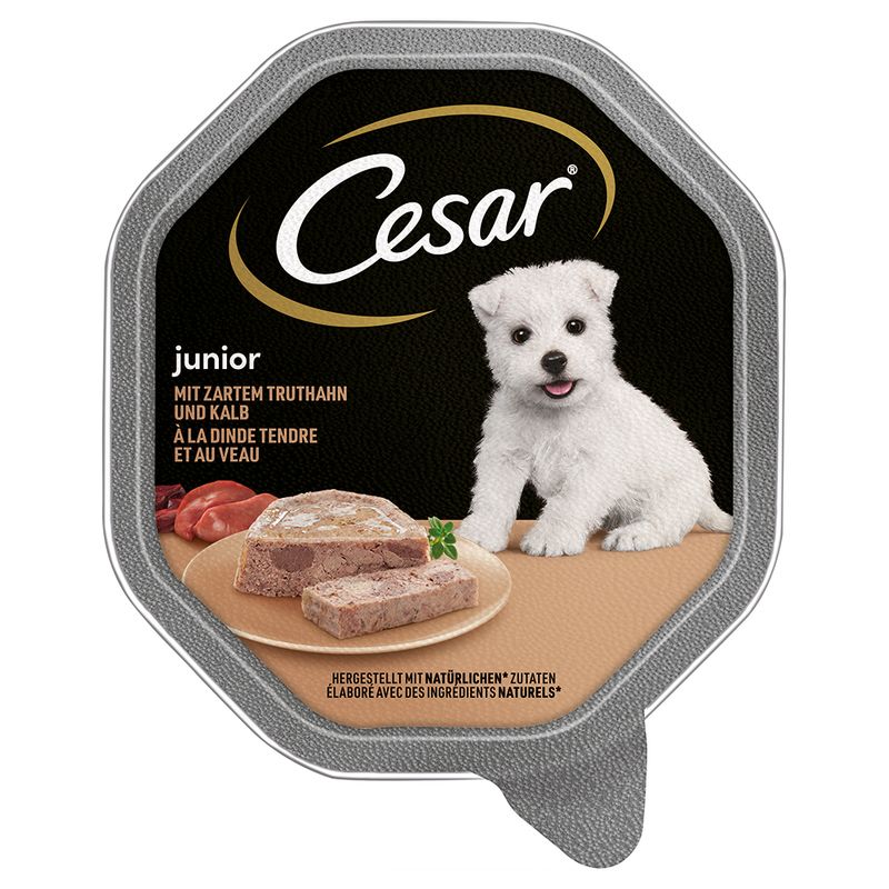 Cesar Junior bowl 28 x 150g With Turkey and Veal