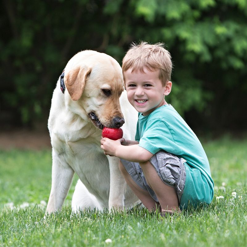 KONG Classic Red Extra Small