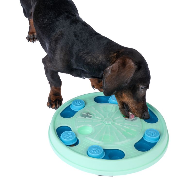 TIAKI Pet Puzzle Advanced Intelligence Toy 30 x 30 x 4.5 cm (L x W x H)