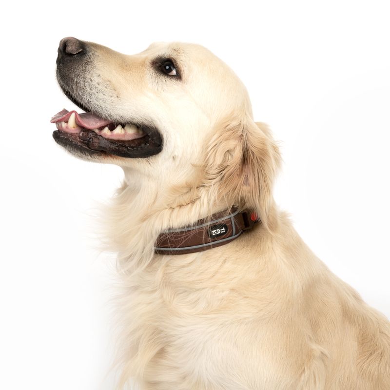 TIAKI Collar Soft & Safe - Brown Size M: 45 - 55 cm neck circumference, W 40 mm