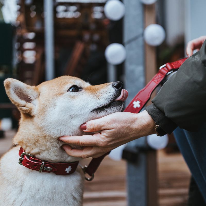 HUNTER Swiss Dog Collar Size 55