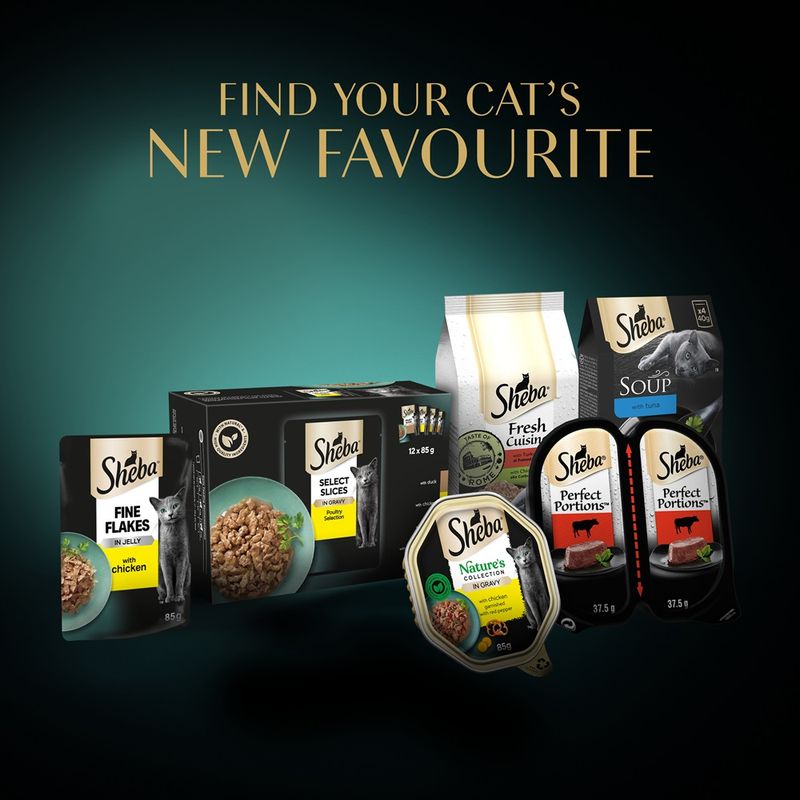 Sheba Classic Soup Multipack 80 x 40g Chicken