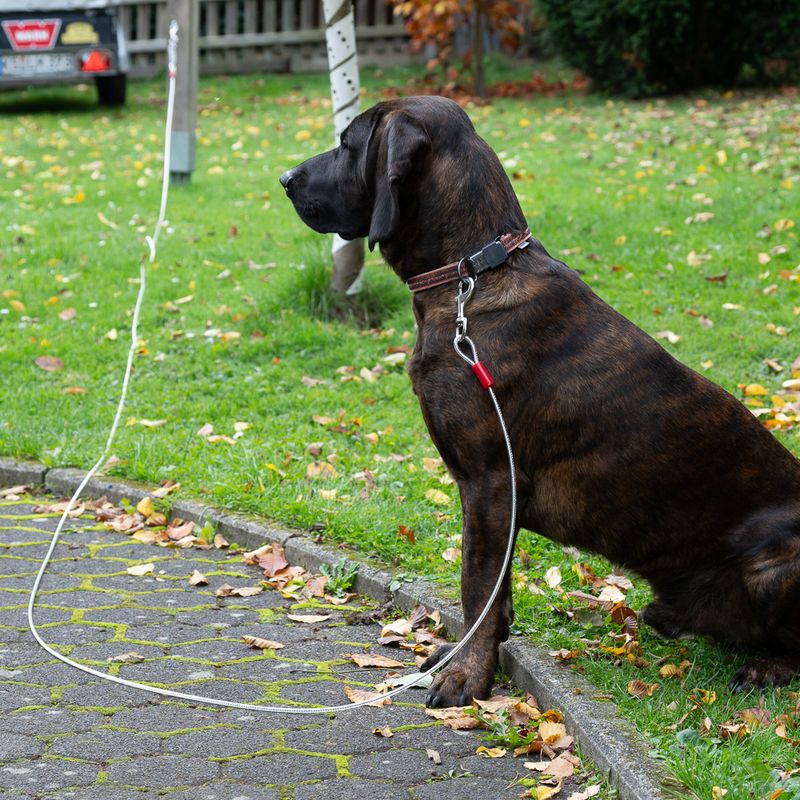 TIAKI Garden Lead 7m Length