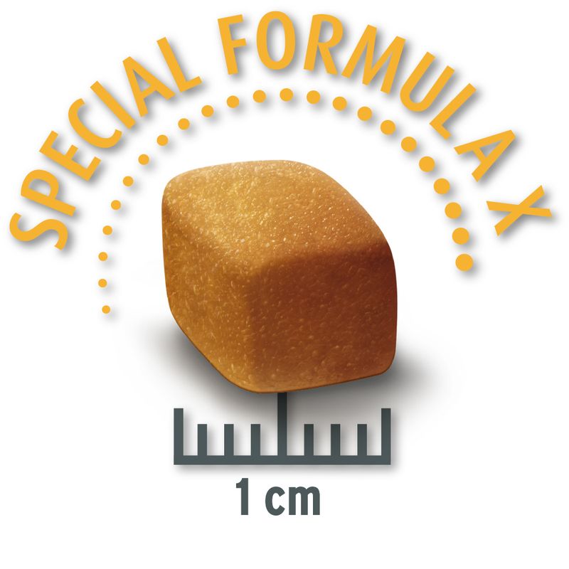 Concept for Life Economy Packs Labrador Sterilised (2 x 12kg)