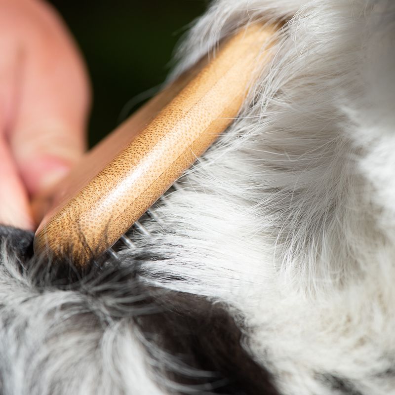 kooa Bamboo Undercoat Rake with Rotating Pins 17.5 x 10cm (L x W)