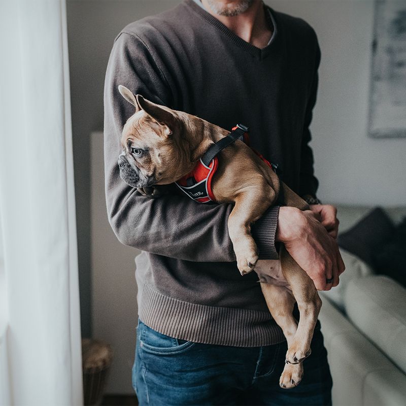 HUNTER Divo Harness – Red/Grey Size S-M: 52 – 68 cm Chest Circumference