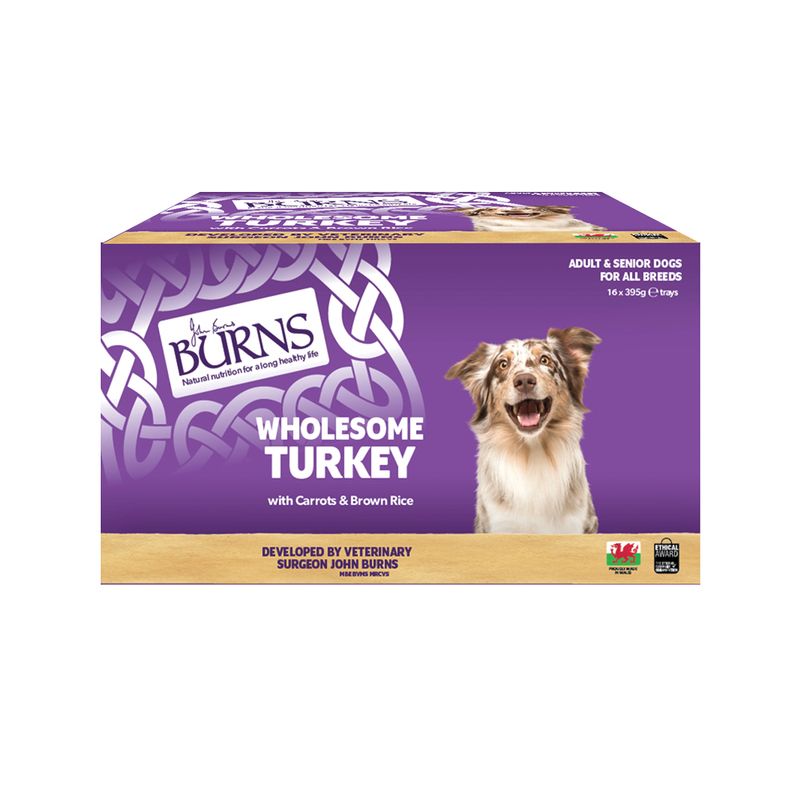 Burns Wet Food for Dogs 16 x 395g Chicken