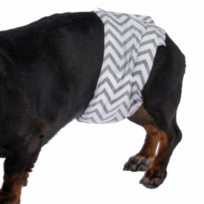 kooa Male Nappies with Charcoal Extra Small (15 Nappies)