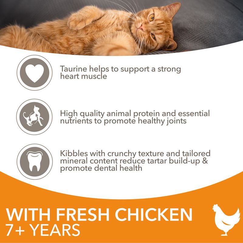IAMS Advanced Nutrition Senior Cat 7+ with Chicken 3kg